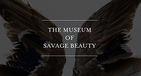 V&A Savage Beauty Poster - Aizhanium