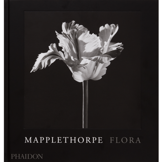 Book cover featuring a photo of a white flower photographed on a black background. 