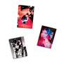 Set of three fridge magnets featuring supermodel Naomi Campbell