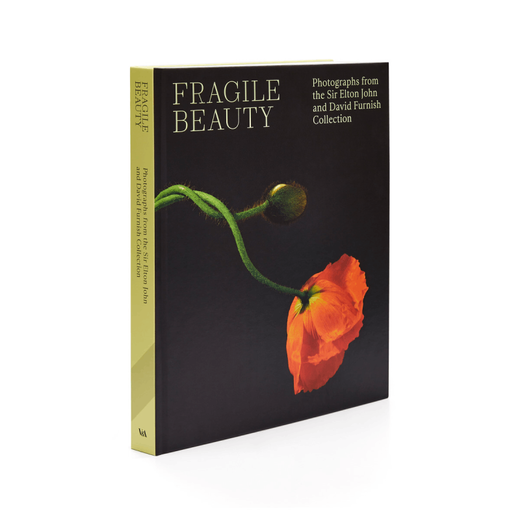 Book cover featuring a photograph of a red poppy set against a black background and the title 'Fragile Beauty' in yellow on the top left corner.