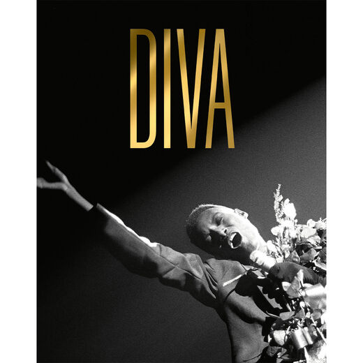 DIVA exhibition poster, Exhibition collectable, V&A Shop