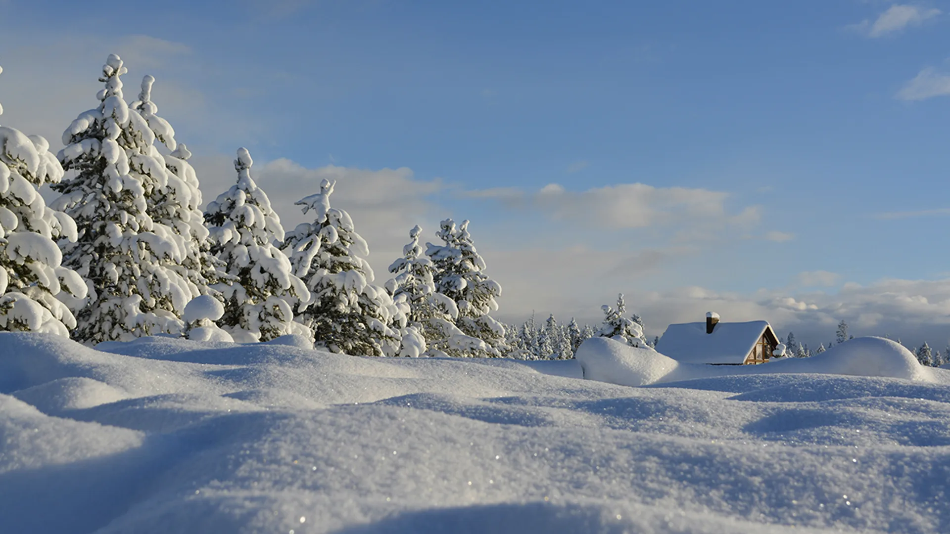 Scenic snowy cabin site