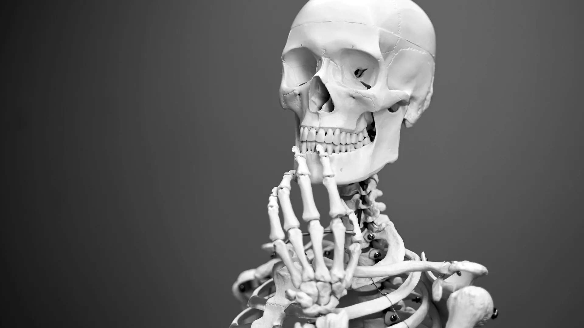 Photograph of a skeleton in a thoughtful post against a grey background
