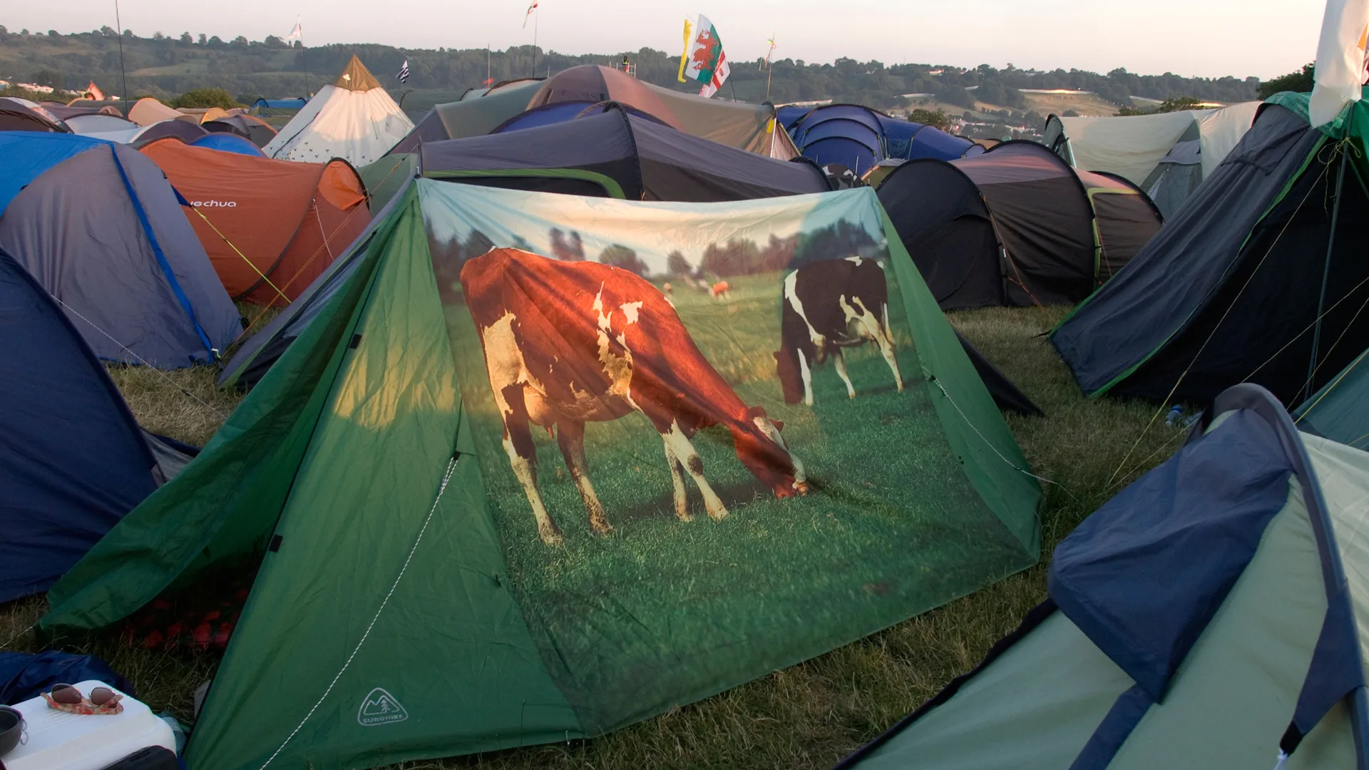 A photo of a tent at a festival with a print of cows grazing in a field