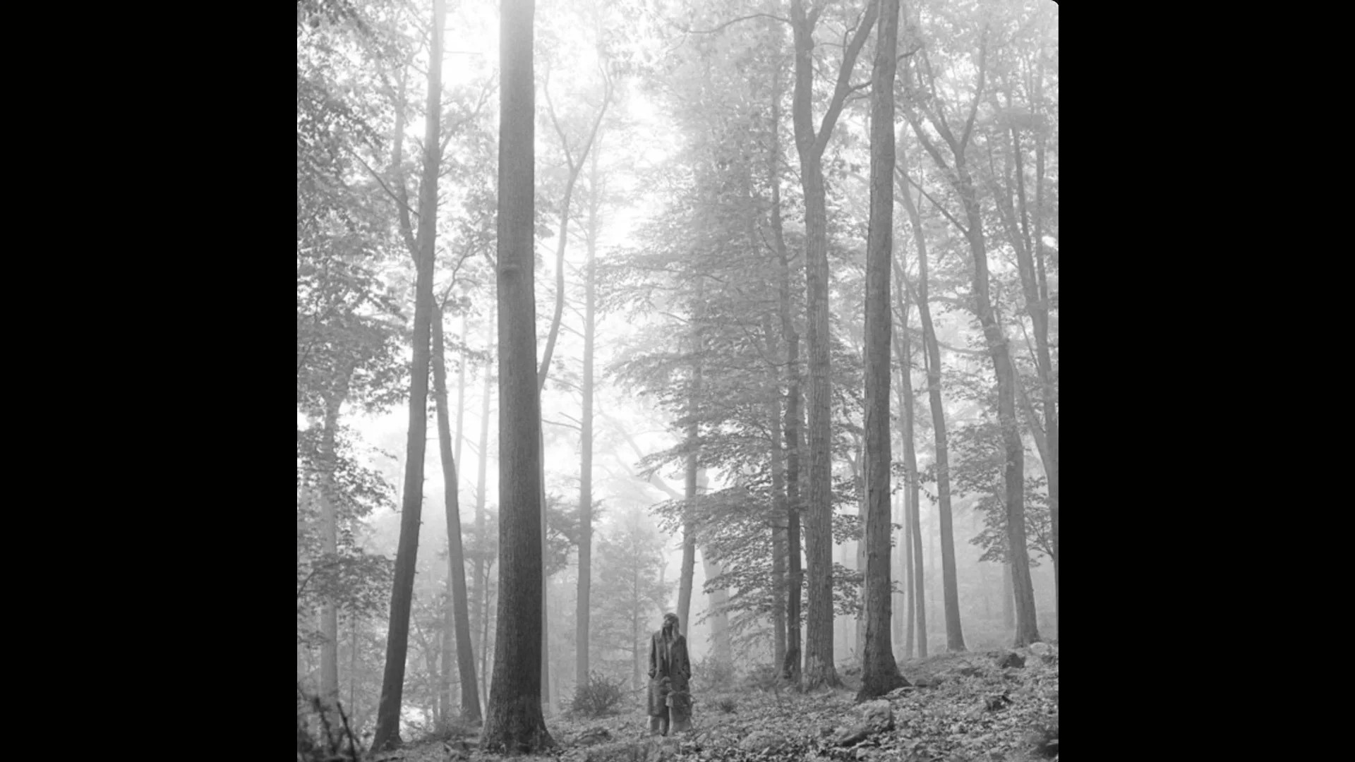 Taylor Swift's album cover for Folklore showing Taylor stood in a forest in black and white