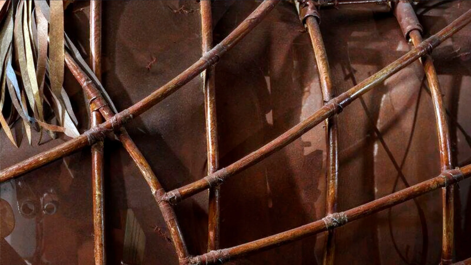 A close up of the structure of War Horse puppet showing the 'bones' of the animal made from lightweight cane.