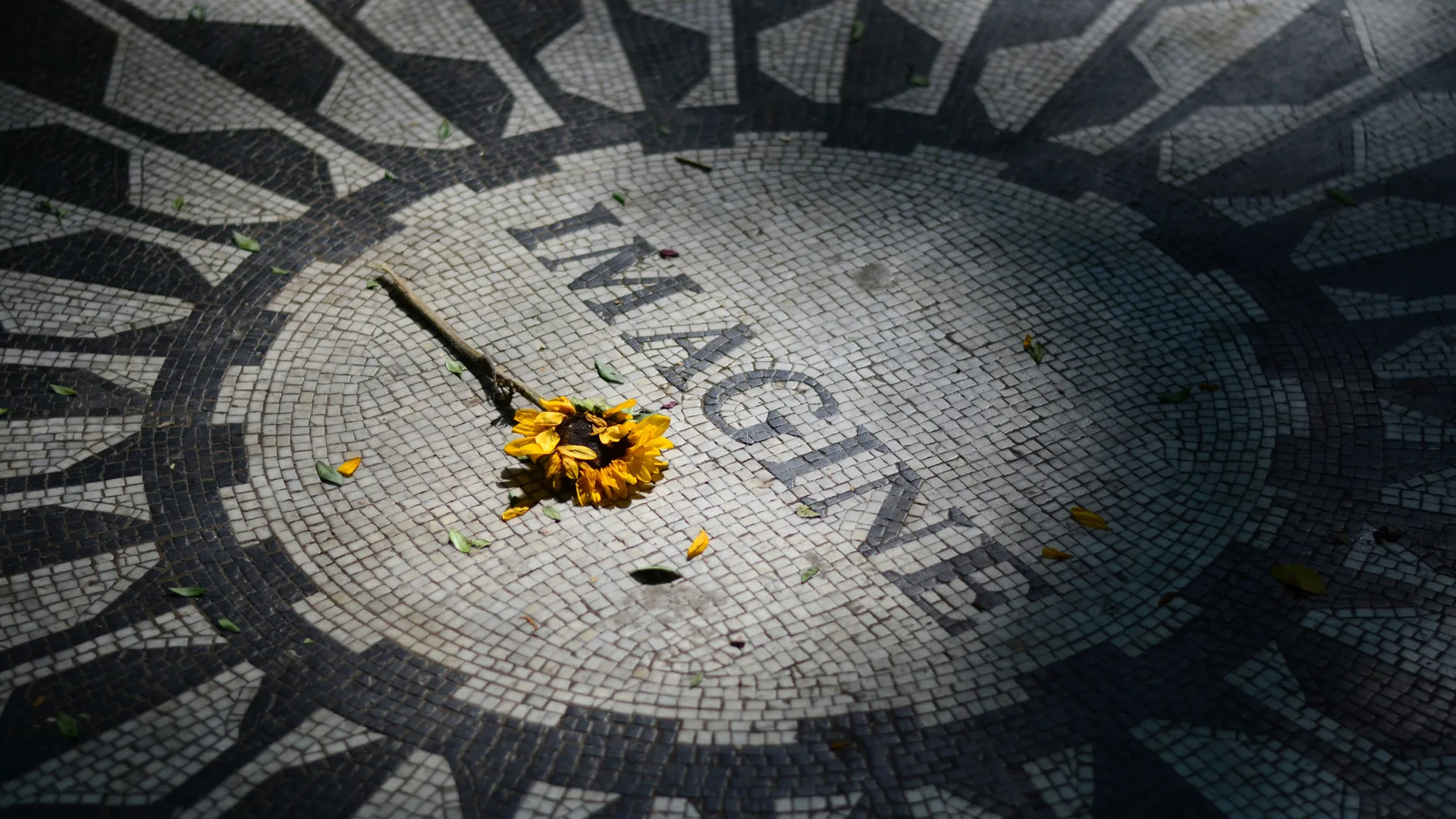 A photo of the mosaic floor in New York's Central Park of the words IMAGINE with a flower tribute to the former Beatle's member John Lennon.