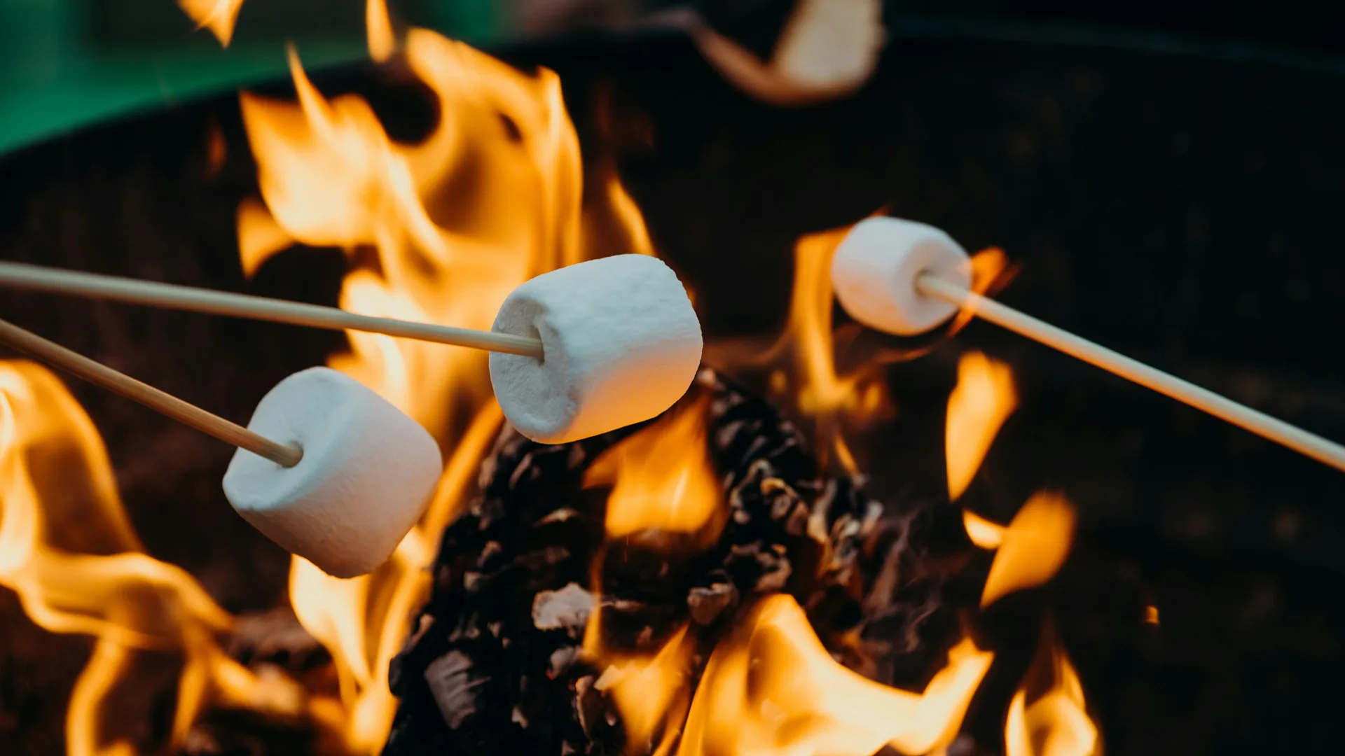 A photo of some marshamallows being toasted on a fire