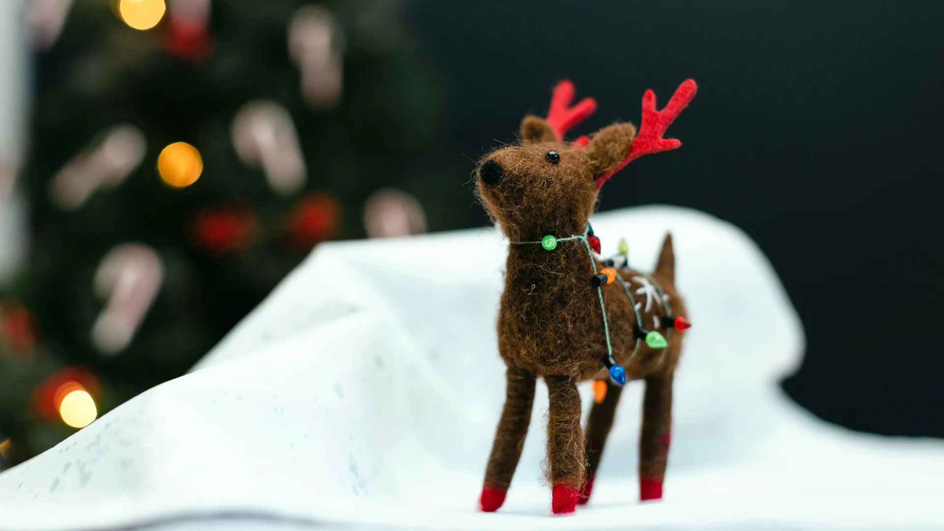 A photo of a reindeer made out of felt with little christmas lights wrapped around it and red antlers stood on a white sheet that is meant to represent snow against a christmas tree background which is out of focus.