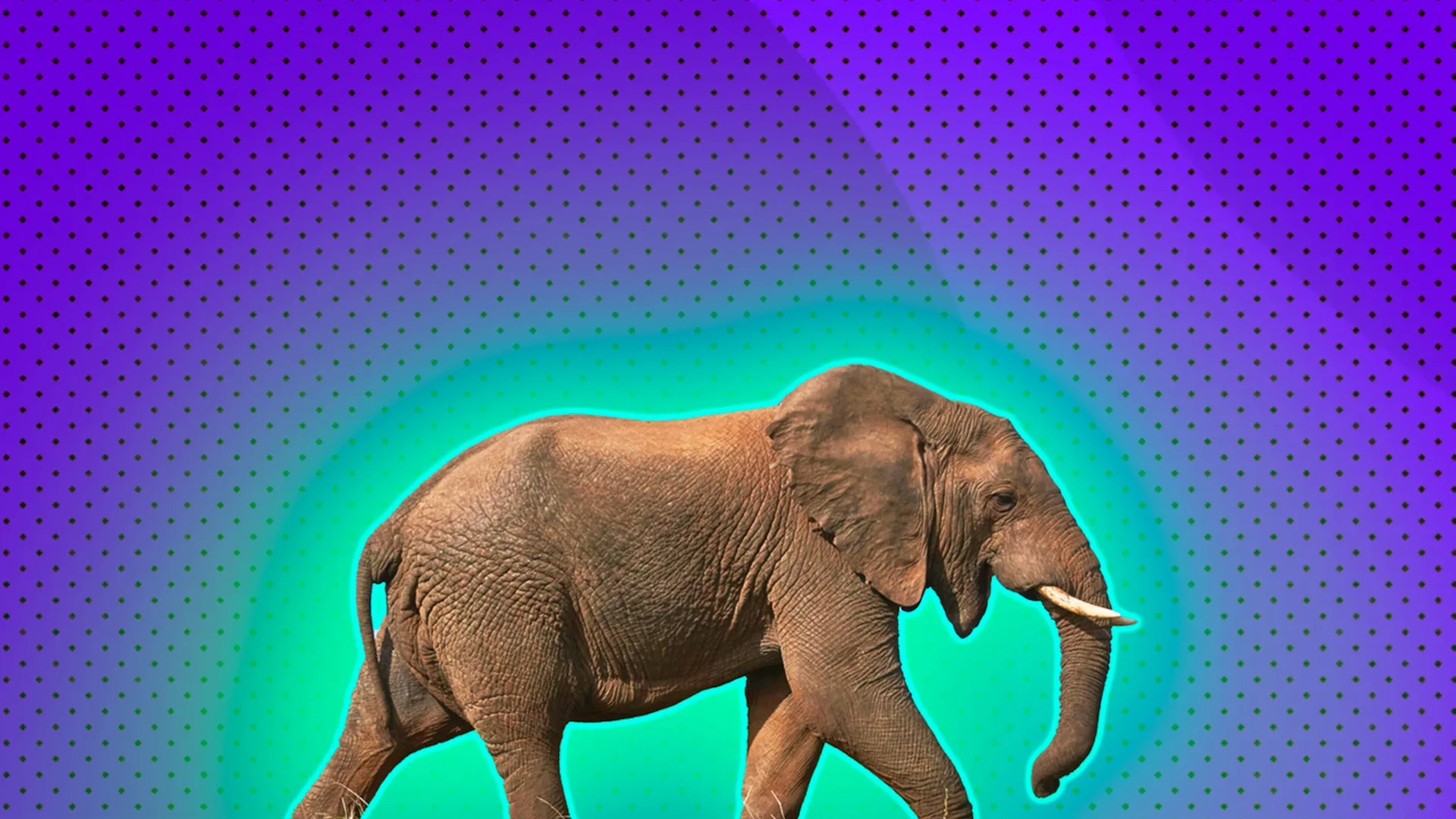 brown elephant walking against a purple spotty background with a green and blue halo glow